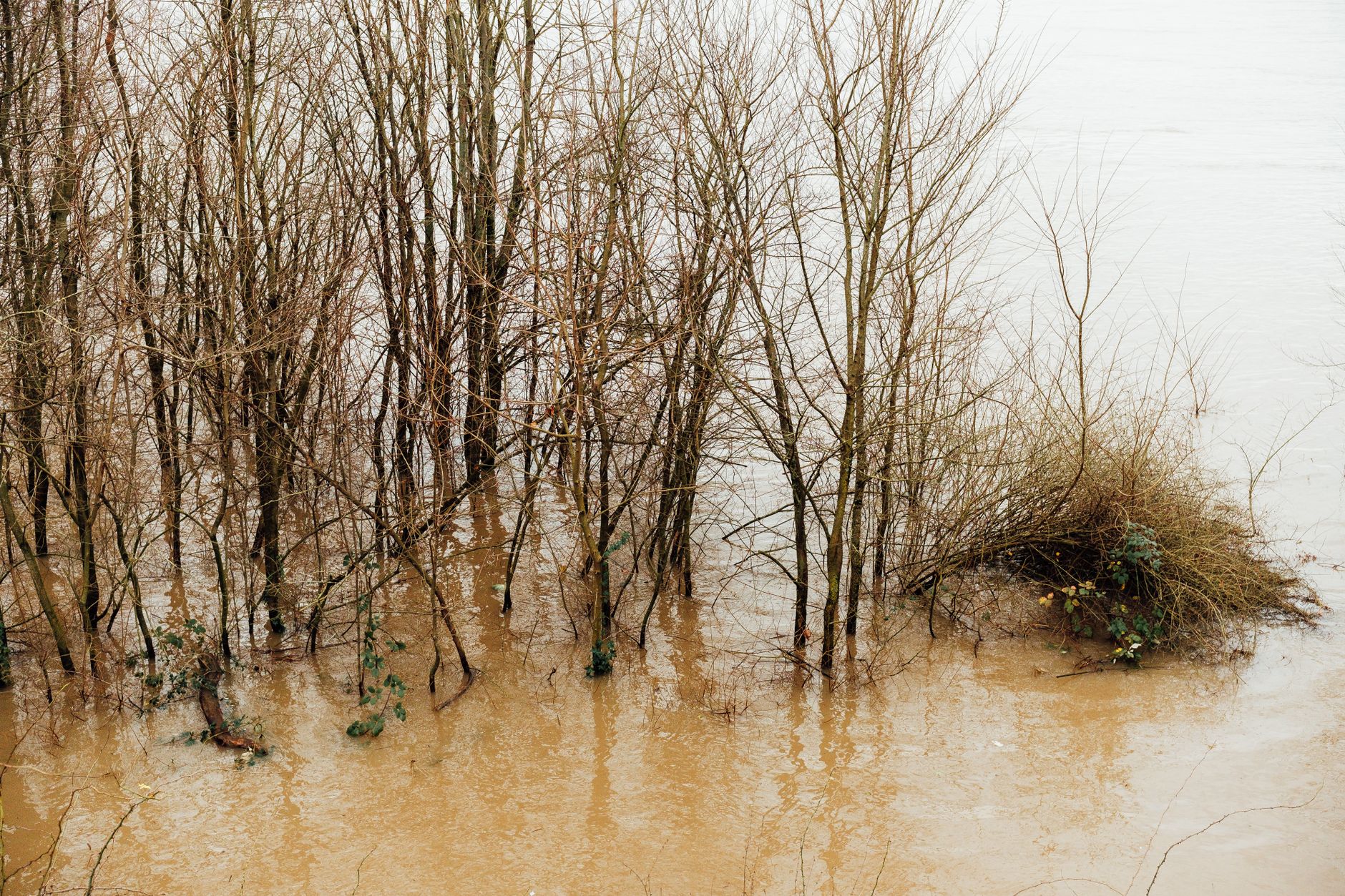 Homeowner caught in 'crazy' flood waiting to hear if house a write-off